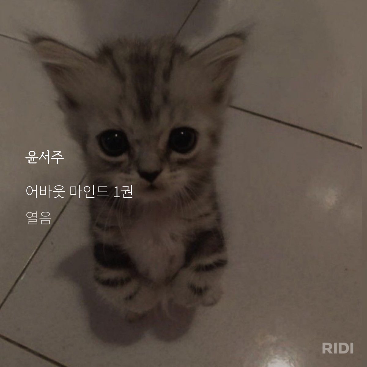 율 tweet media