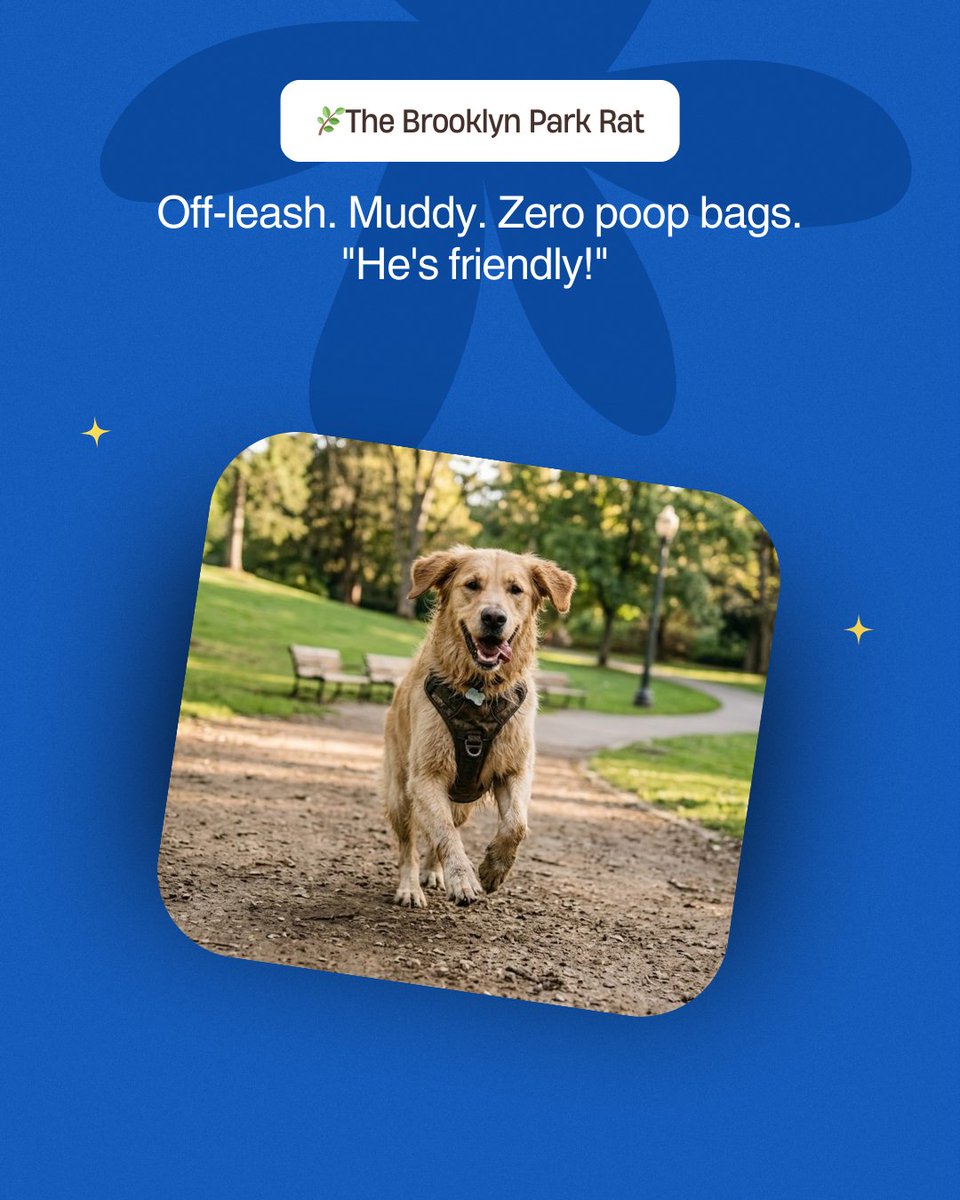 thepetgazette98's tweet image. We love ALL of them 😂🐾 Which NYC dog owner are you? Tag your people 👇
#NYCDogOwner #NYCDogs #PetGazette #DogHumor #NYCPetLife