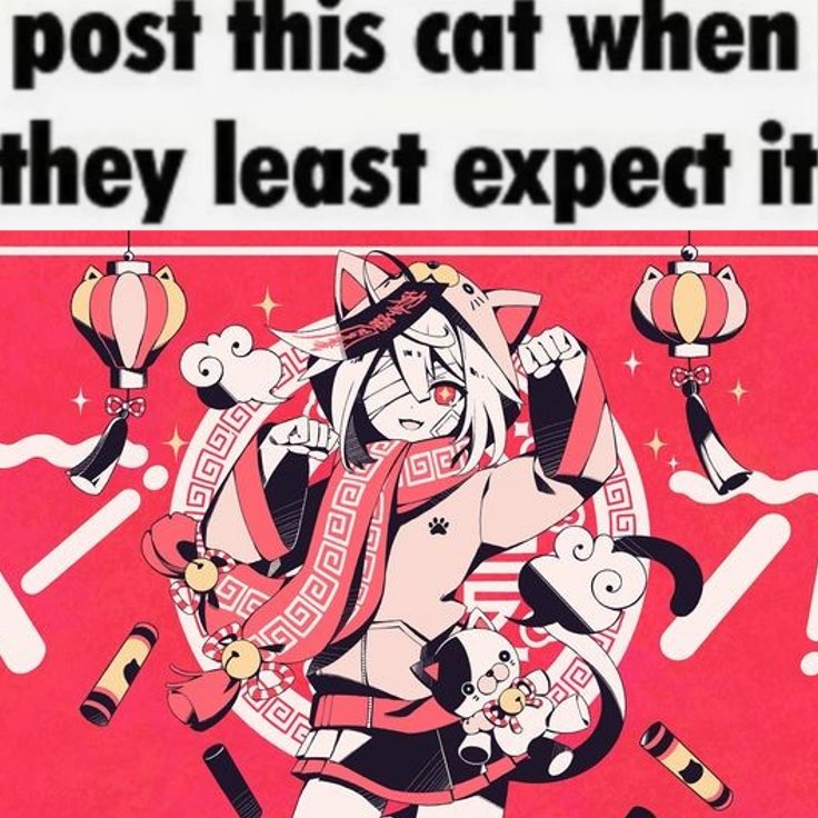 ghostie🐾 tweet media