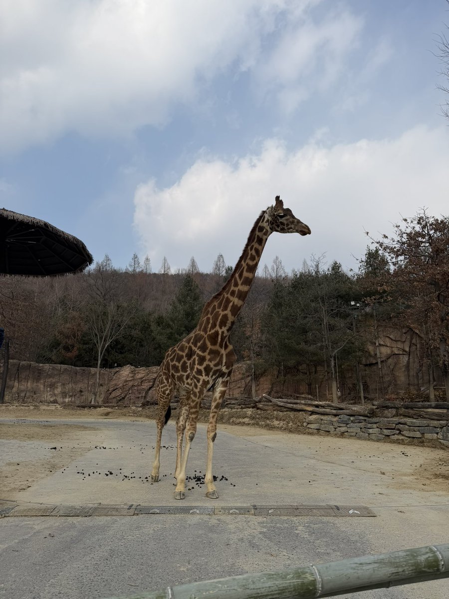 서영이 tweet media