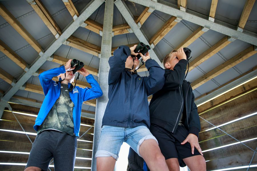 Bedumer.nl tweet media