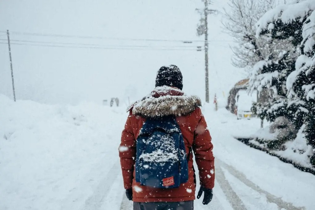 Jackson County Public Health tweet media