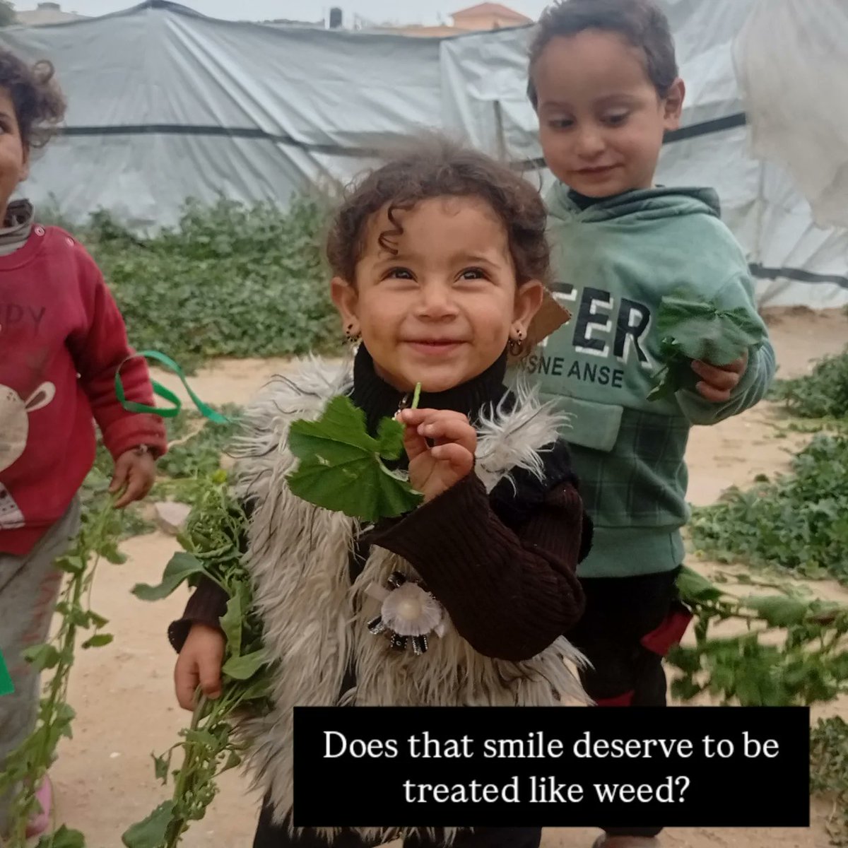 ahmed ziad🔻🍉🇵🇸 tweet media