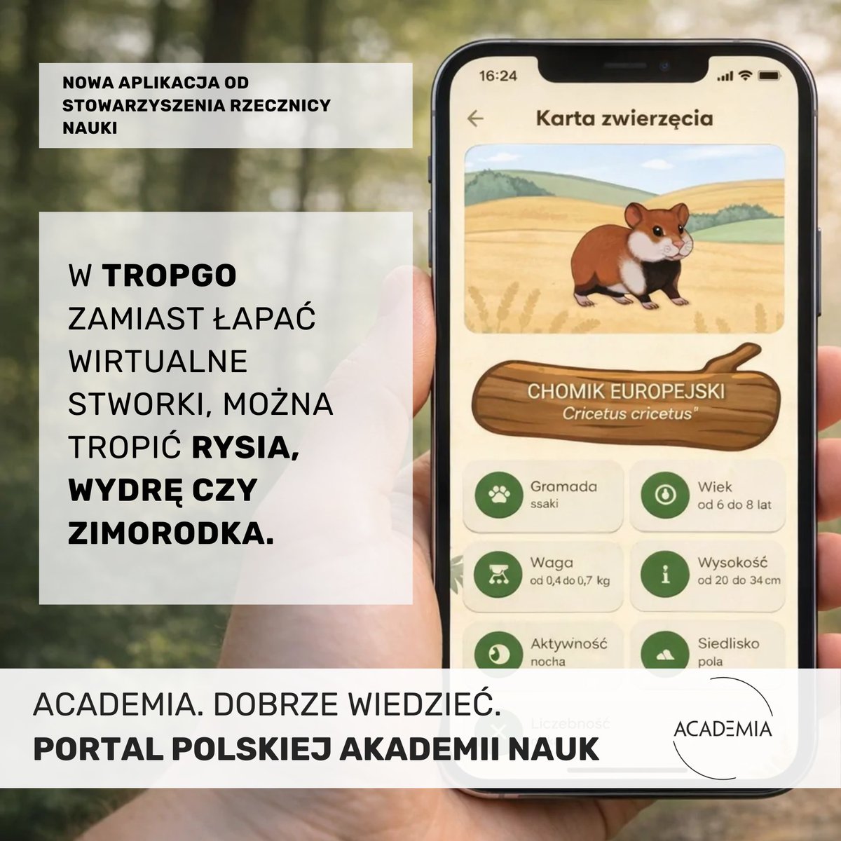 Tropienie zamiast klikania.

Powstała aplikacja, która zachęca do wyjścia z domu i szukania śladów zwierząt w terenie – trochę jak naukowa gra terenowa. 

Użytkownicy uczą się rozpoznawać tropy i jednocześnie pomagają badaczom zbierać dane o przyrodzie.

Więcej: