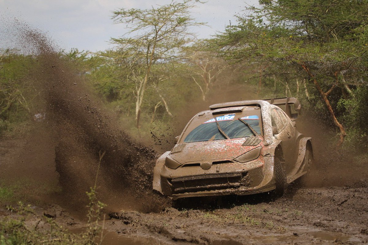 HarryHaklander's tweet photo. #SafariRallyKenya https://t.co/lBYlDeGX64