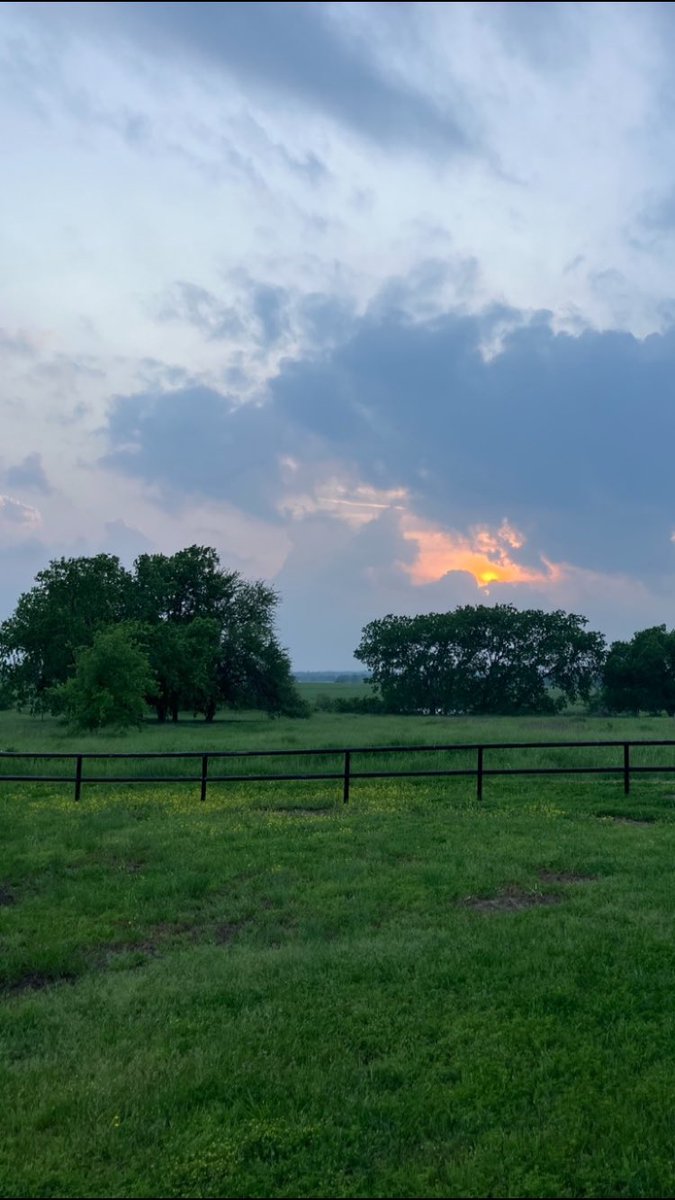 Rob Powell tweet media