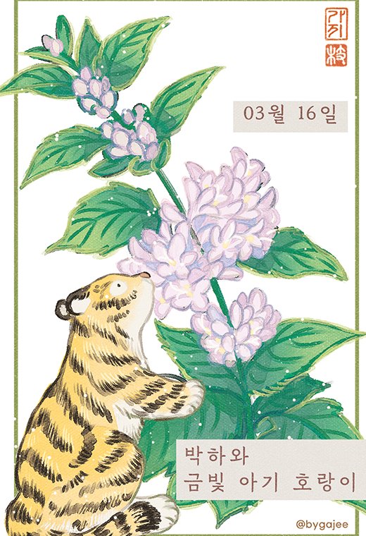 가지 🌿 🌺 tweet media