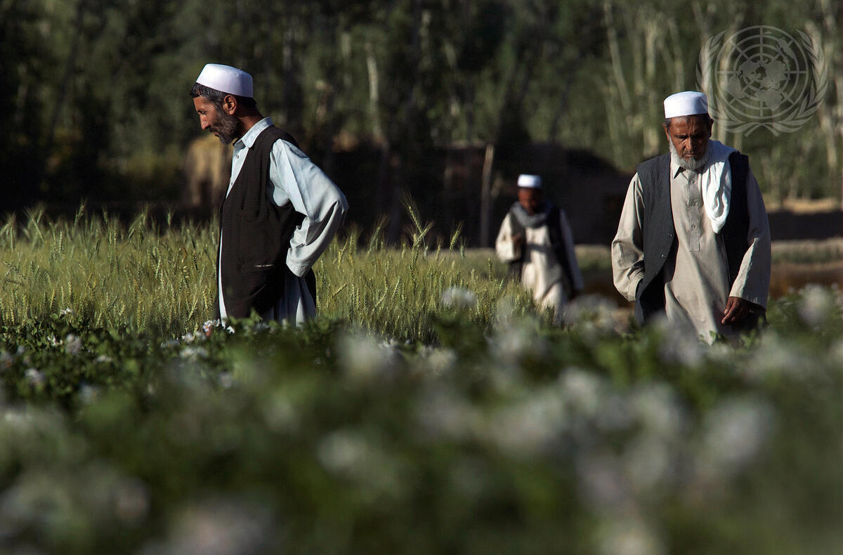 United Nations Photo tweet media