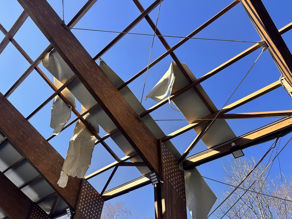 Ajuntament Molló tweet media