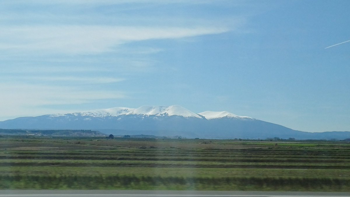 Albert Antón Gil tweet media