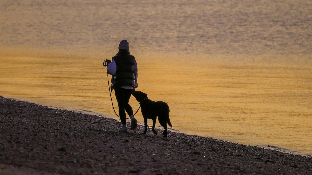 Humanimal Trust tweet media