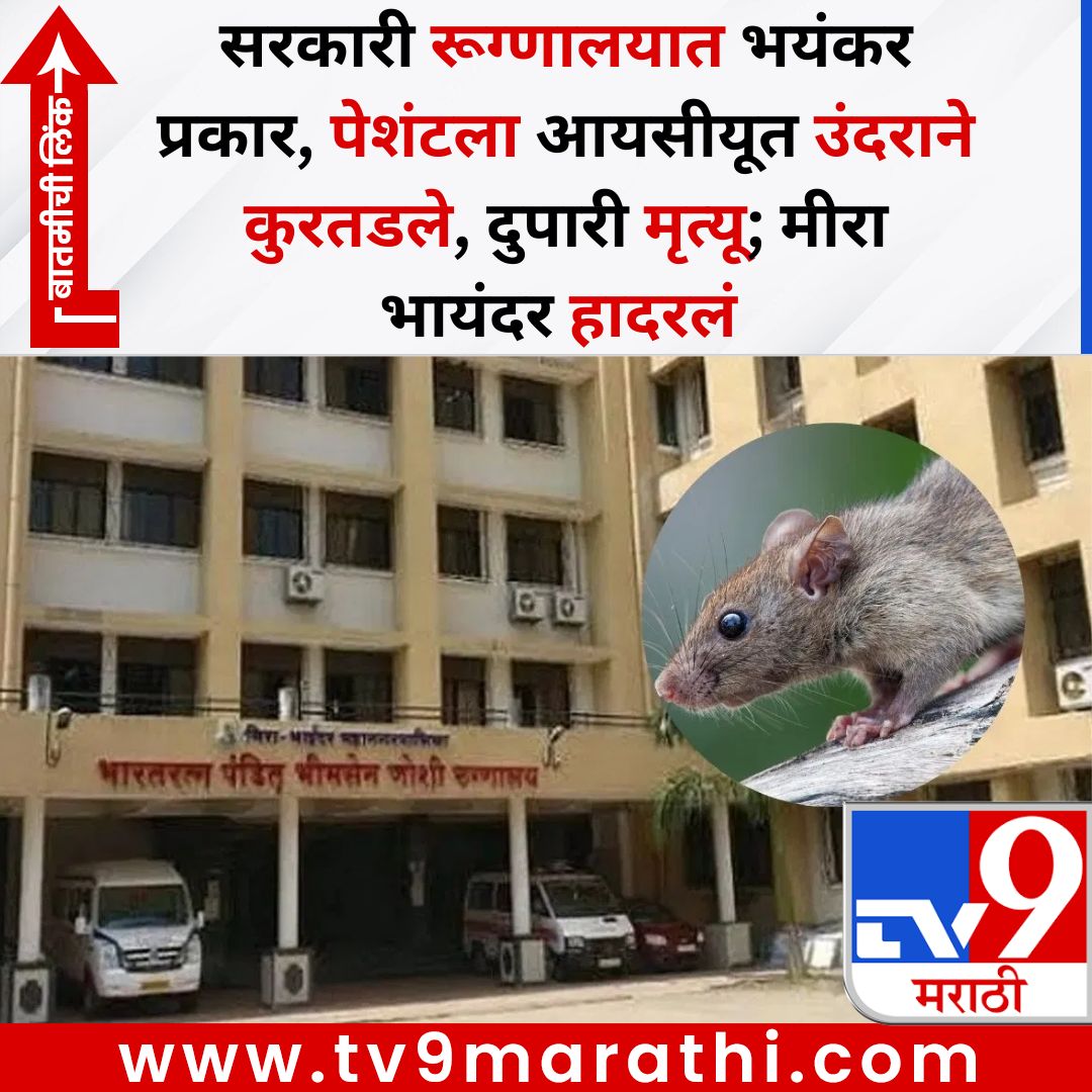 TV9Marathi's tweet image. सरकारी रूग्णालयात भयंकर प्रकार, पेशंटला आयसीयूत उंदराने कुरतडले, दुपारी मृत्यू; मीरा भायंदर हादरलं 
बातमीची लिंक - 
tv9marathi.com/maharashtra/ra…
#mumbai #patient #rat