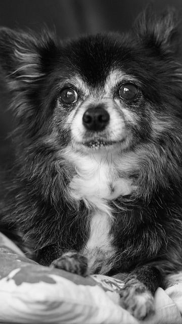 Scott Chism tweet media