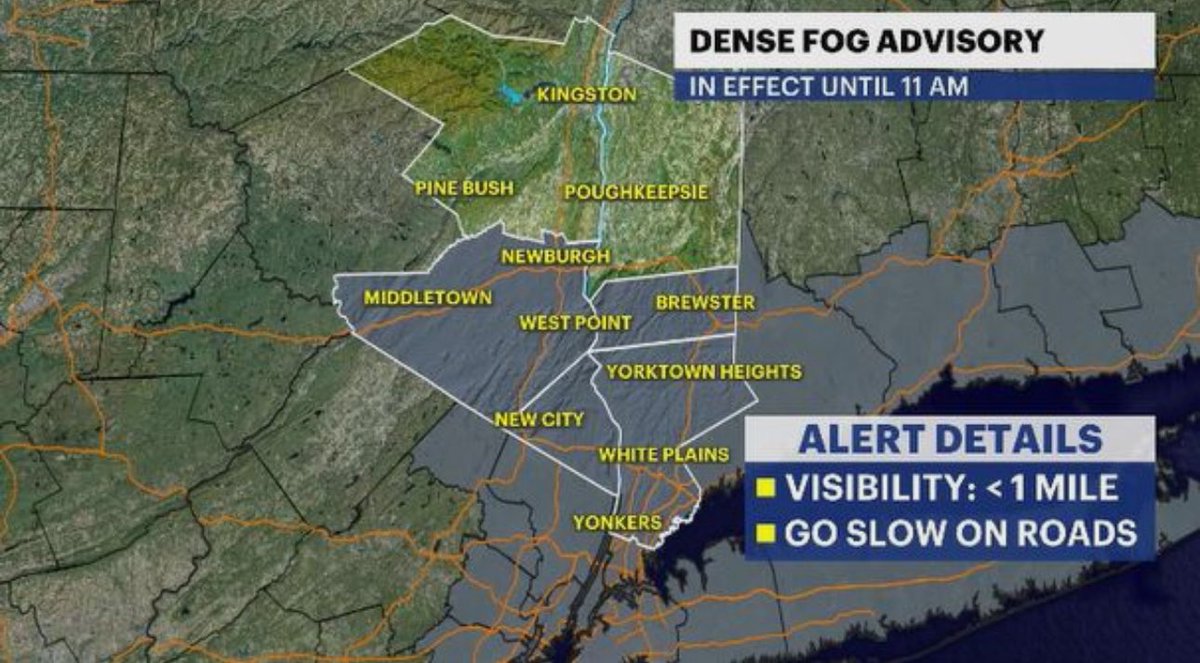 Addison Green tweet media