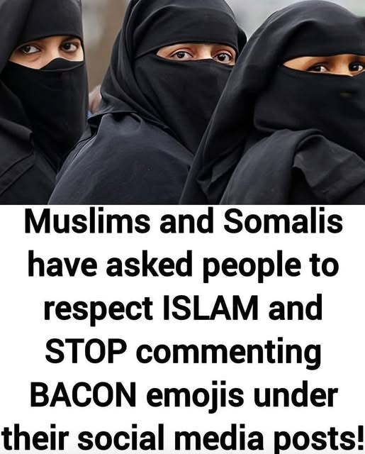 SaltyGoat tweet media