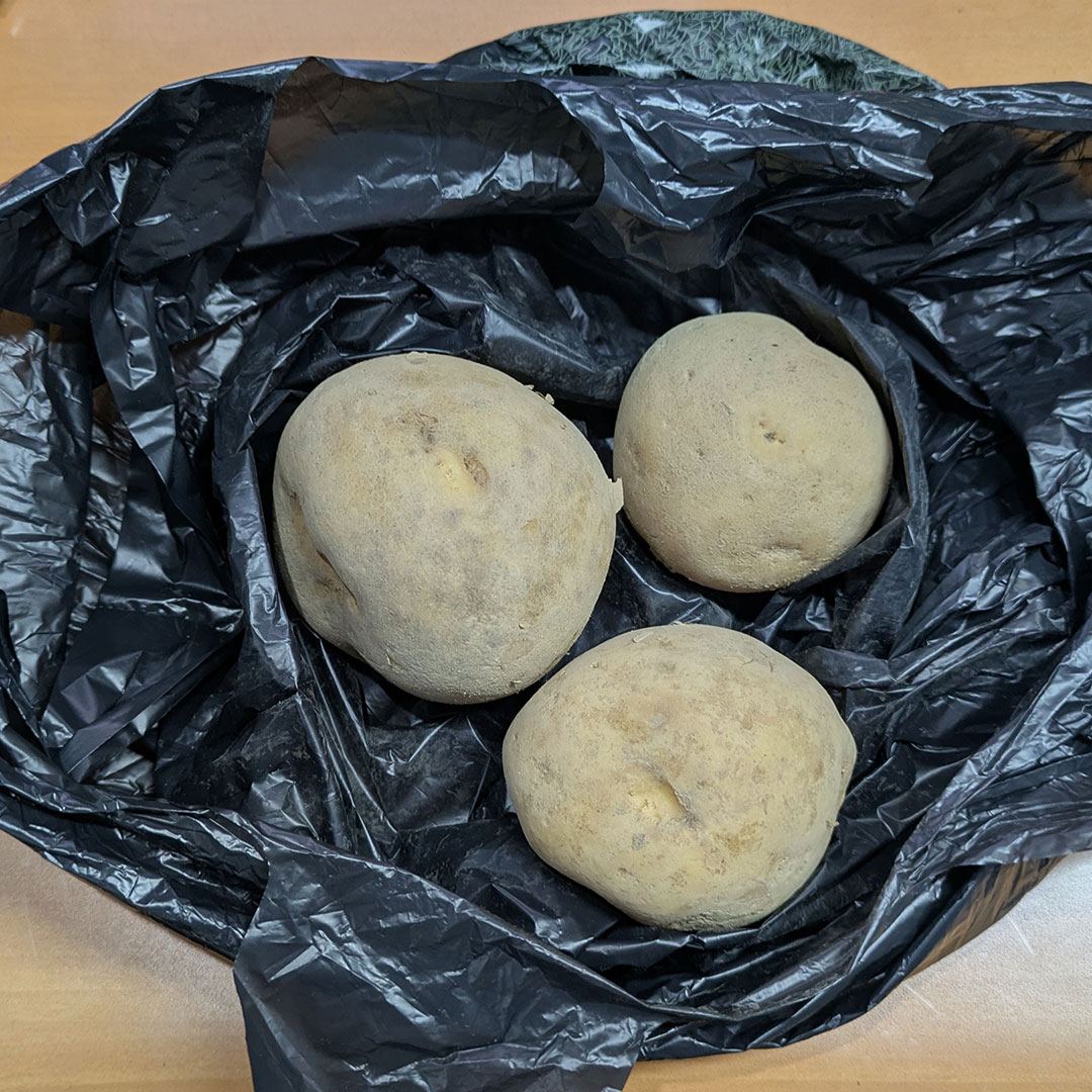 staff_Pmra's tweet photo. 社長の奥様にお裾分けいただいた富良野のじゃがいも
…ポテサラかな😋

それでは今日もお疲れ様でした
おやすみなさい
また明日

#企業公式相互フォロー
#富良野 https://t.co/x3PoMLTVRr