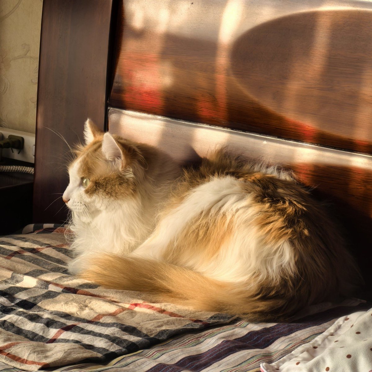 TrebcrMlr . ✮ tweet media