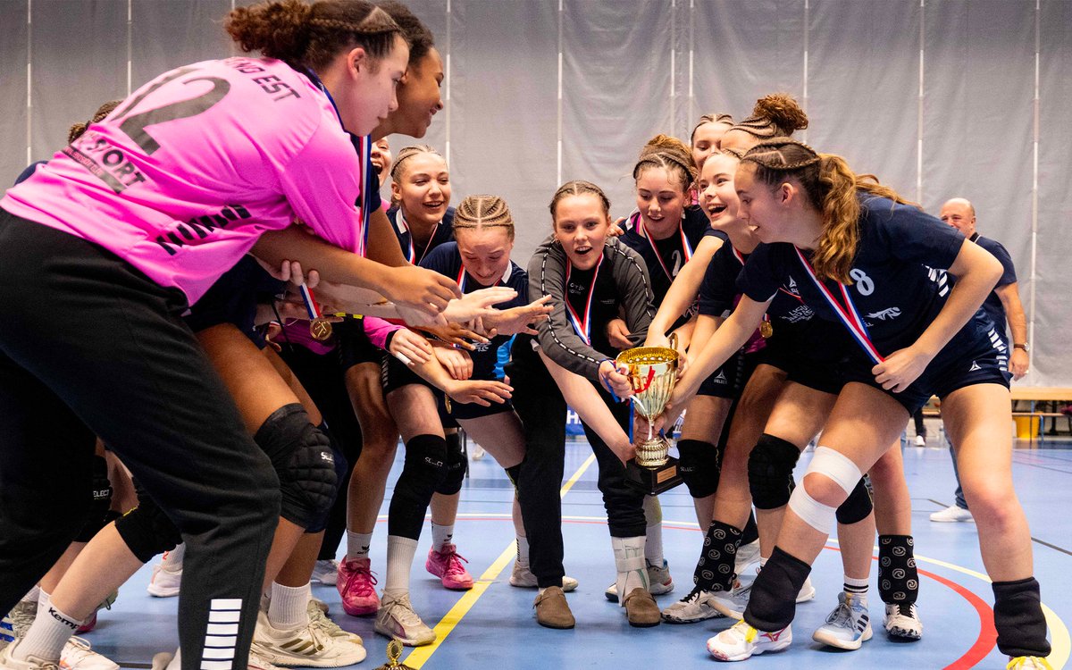 FFHandball tweet media