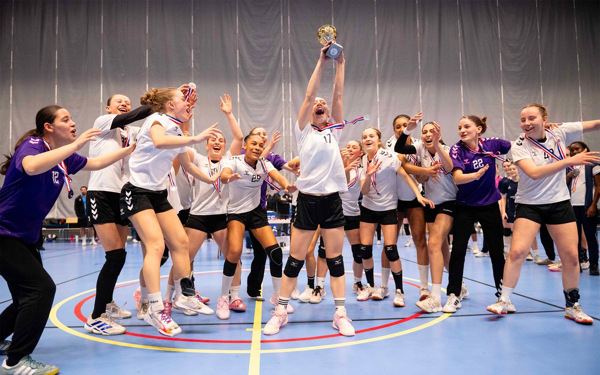 FFHandball tweet media