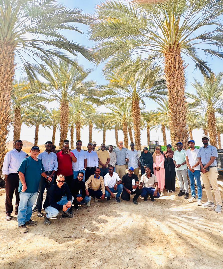 Eynat Shlein tweet media