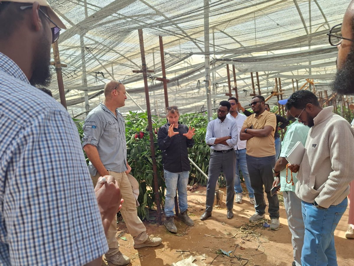 Eynat Shlein tweet media