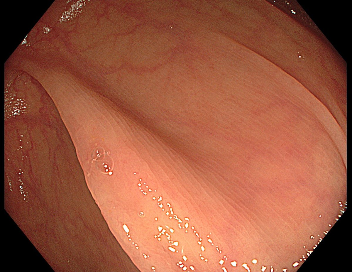 Aleksandar Gavric tweet media