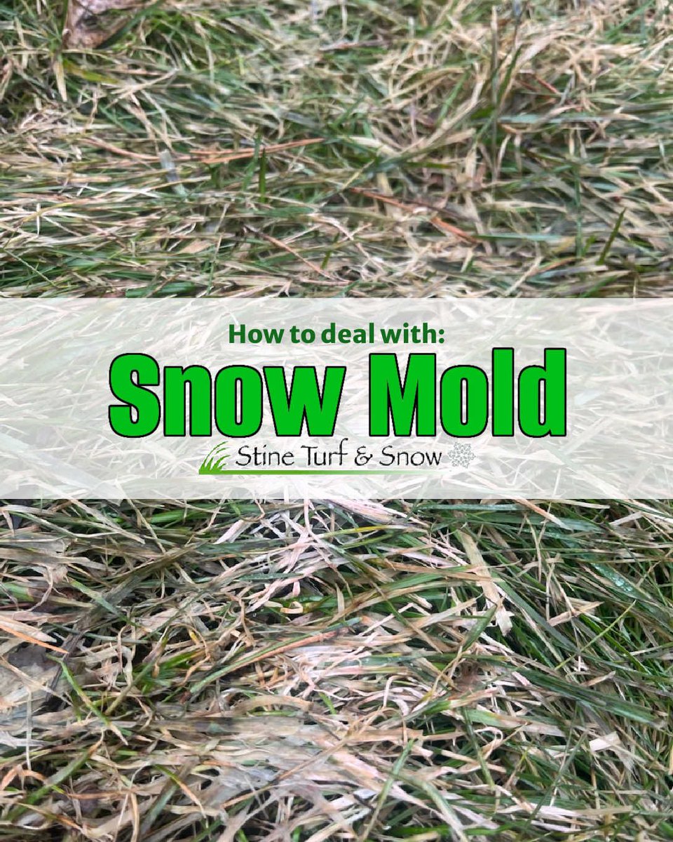 Stine Turf & Snow tweet media