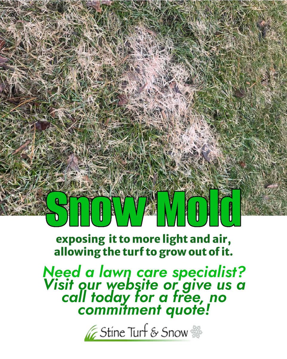 Stine Turf & Snow tweet media