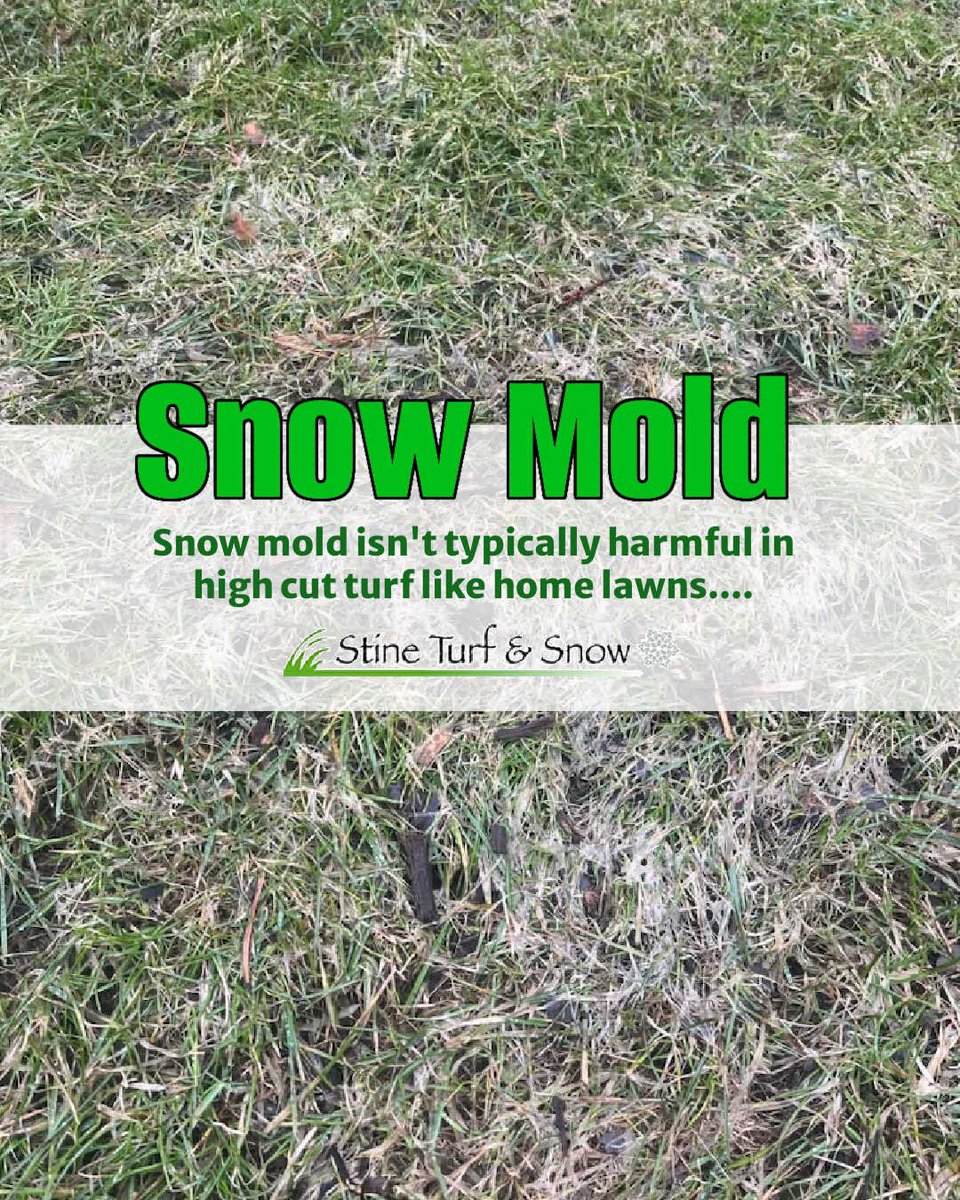 Stine Turf & Snow tweet media