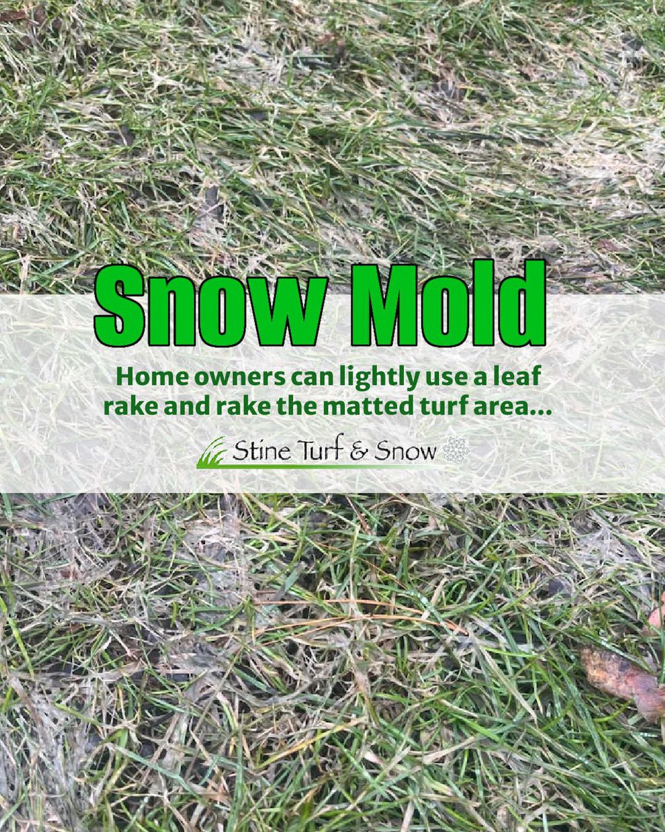 Stine Turf & Snow tweet media