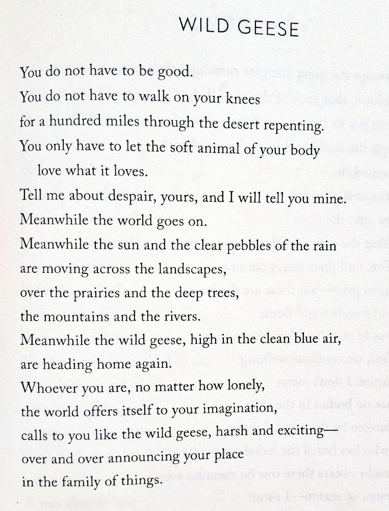 Cian McCarthy tweet media