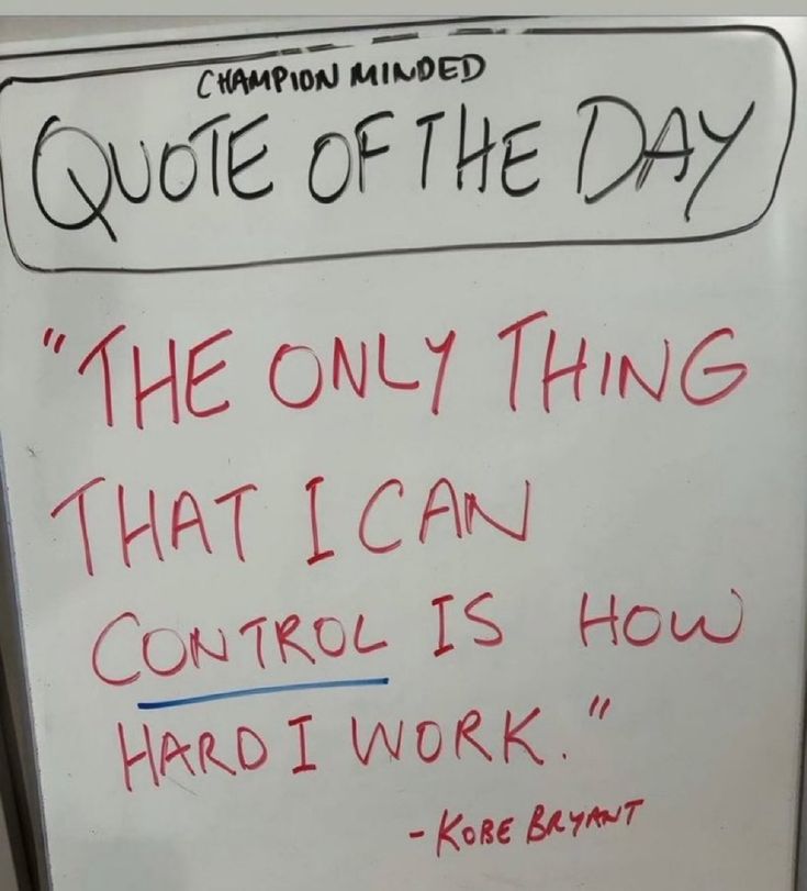 saffytaffy 🍉 tweet media