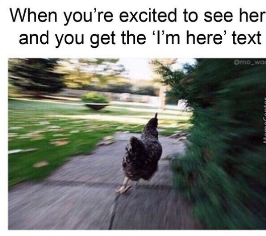 WholesomeMemes tweet media