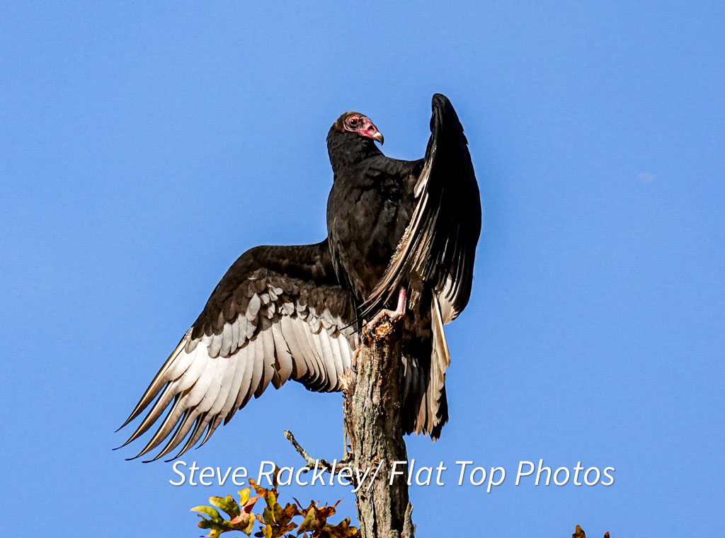 Alex, I'll take, things that do a thankless job well for $500.....the answer is: