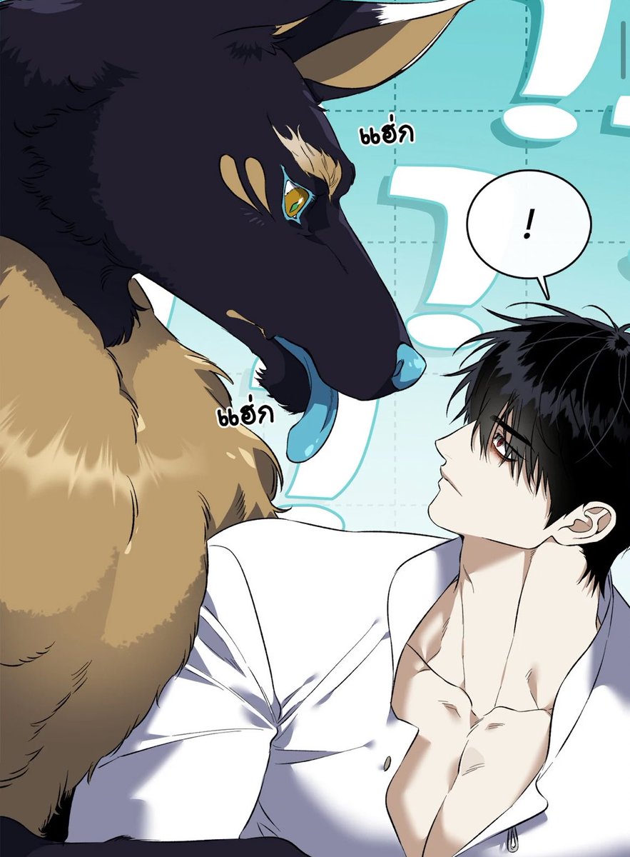 wán 🩹 tweet media