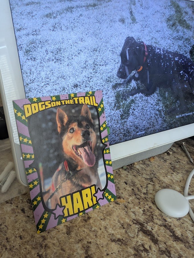 Buck Phillips🦴afide tweet media