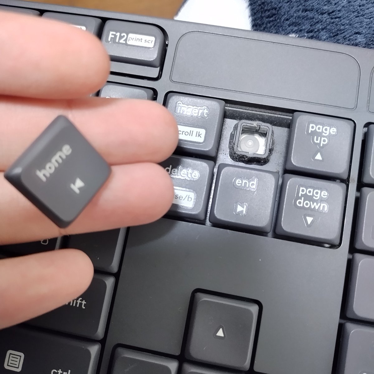 わたぽん@誘導ミサイルの夫 tweet media