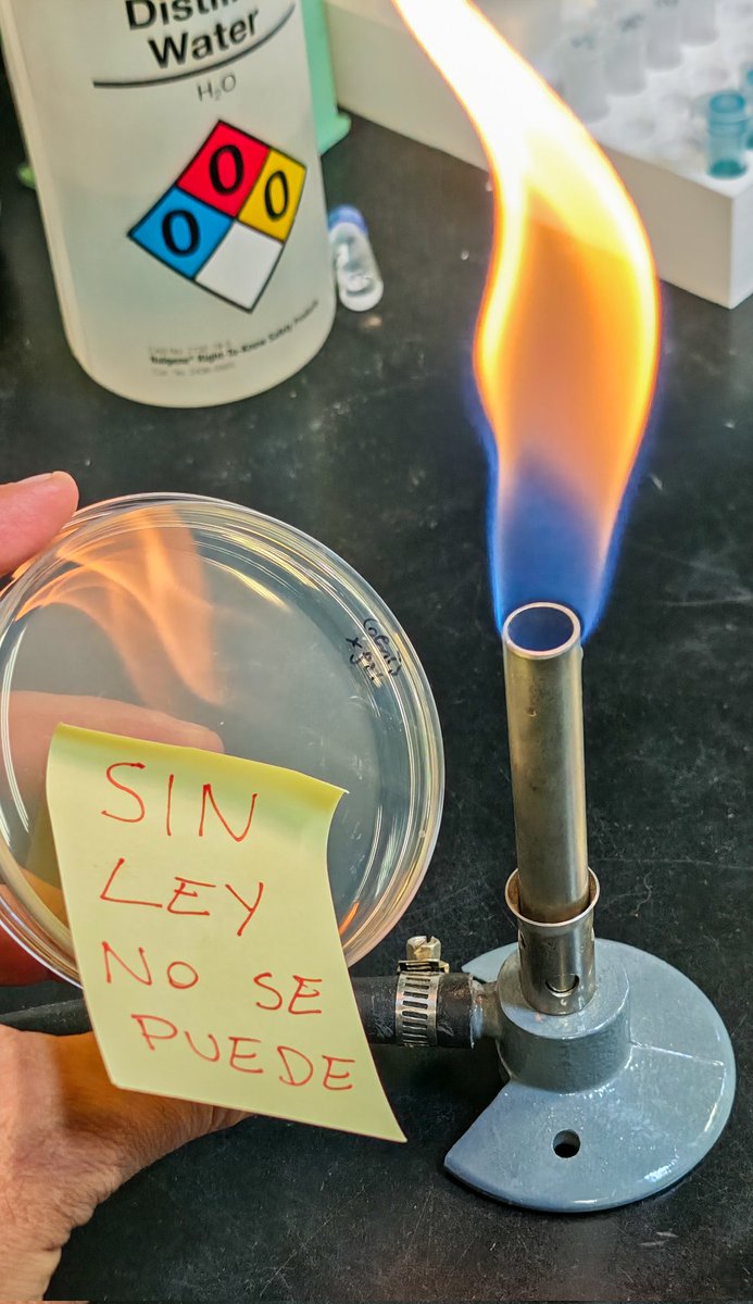 JavierGasulla's tweet photo. Sin ley de presupuesto universitario muchos docentes e investigadores se ven forzados a renunciar para tener un salario mínimo de subsistencia https://t.co/PYpaM5BToJ