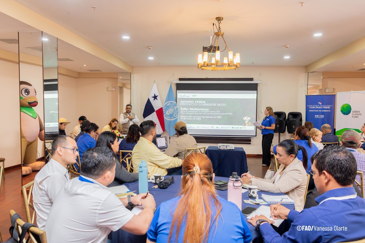 FAOMesoamerica's tweet photo. 🇵🇦Panamá impulsa participación territorial para la #ResilienciaClimática @MiAmbientePma 

#AzueroVerde🐒#Manodelamano

Programa “Adaptación basada en Ecosistemas para la resiliencia climática en región SICA”. 
@BCIE_Org @FAO @CCADSICA @theGCF.

📰Nota
⬇️
https://t.co/x3bxEqT7xj https://t.co/AhipZsMRB5