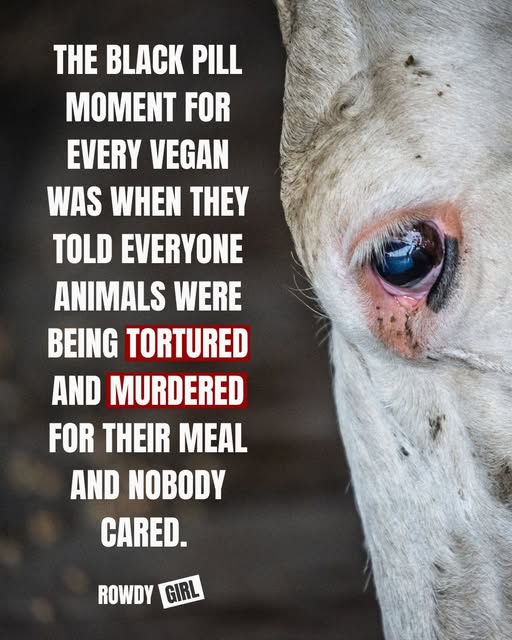 Rowdy Girl Sanctuary tweet media