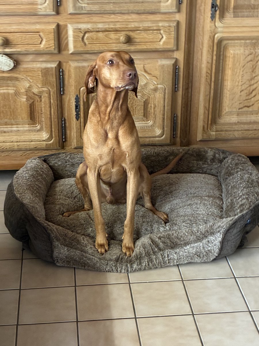 Susan Westemeyer tweet media