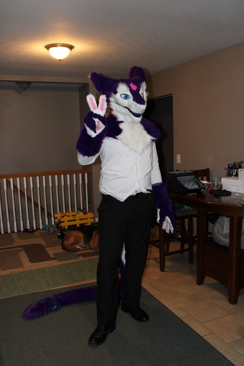 Phoenix The Sergal @ TFF tweet media