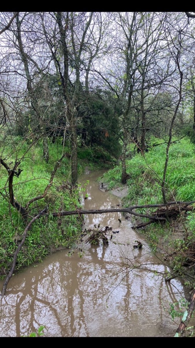 Rob Powell tweet media