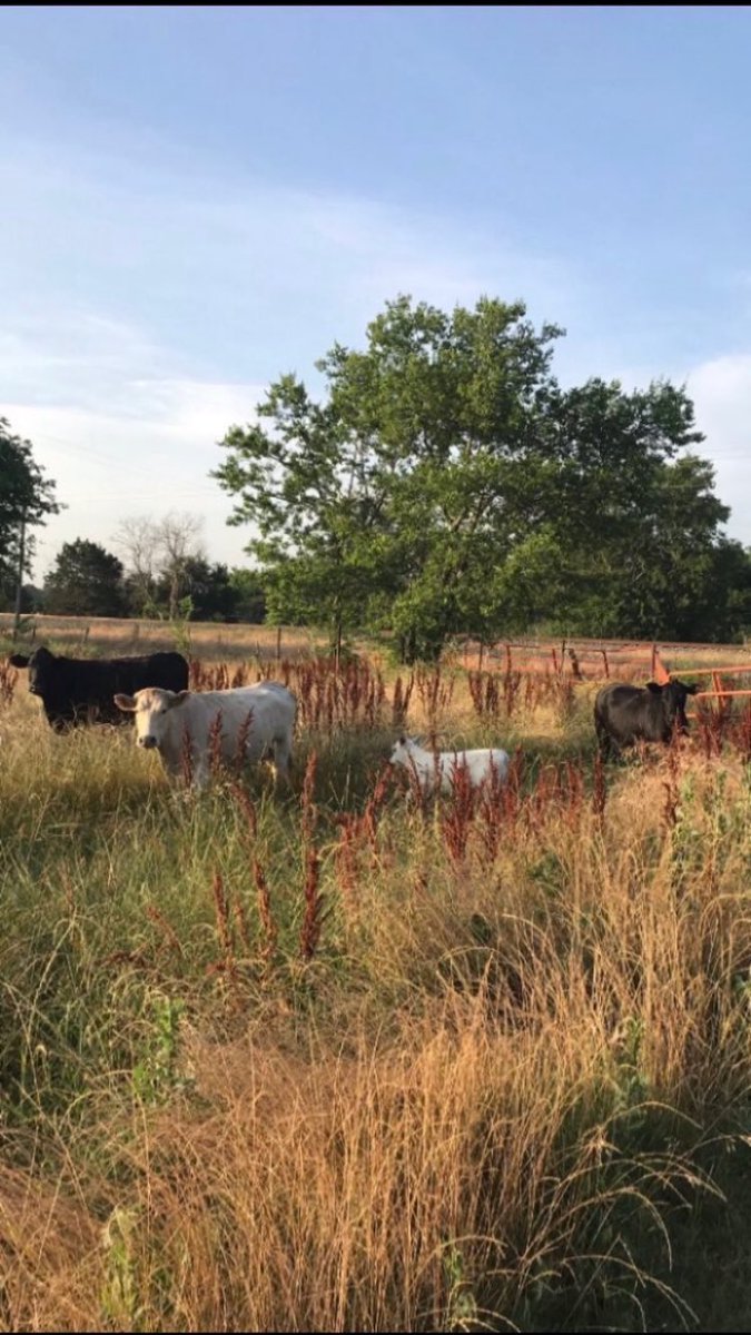 Rob Powell tweet media