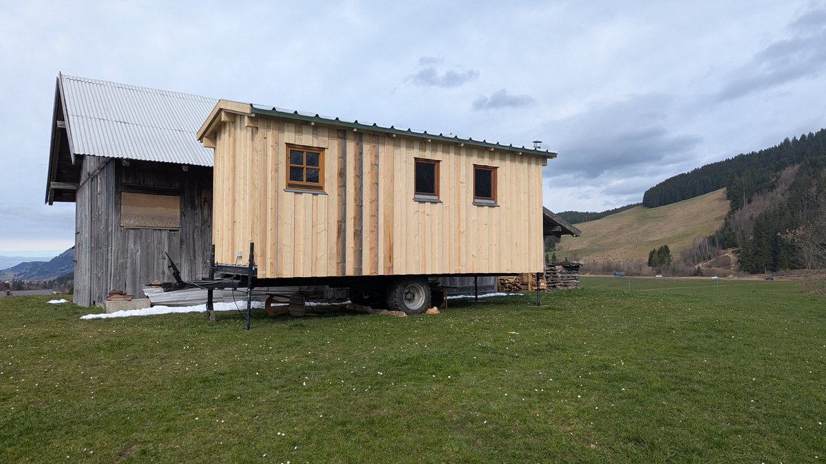 Bergbauer Pinhead tweet media