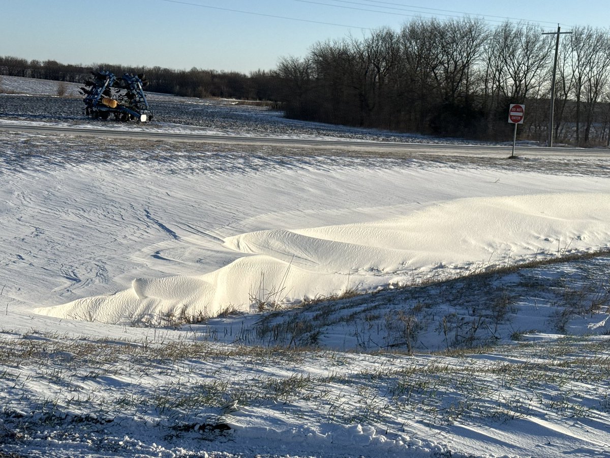 Alex Pickman tweet media