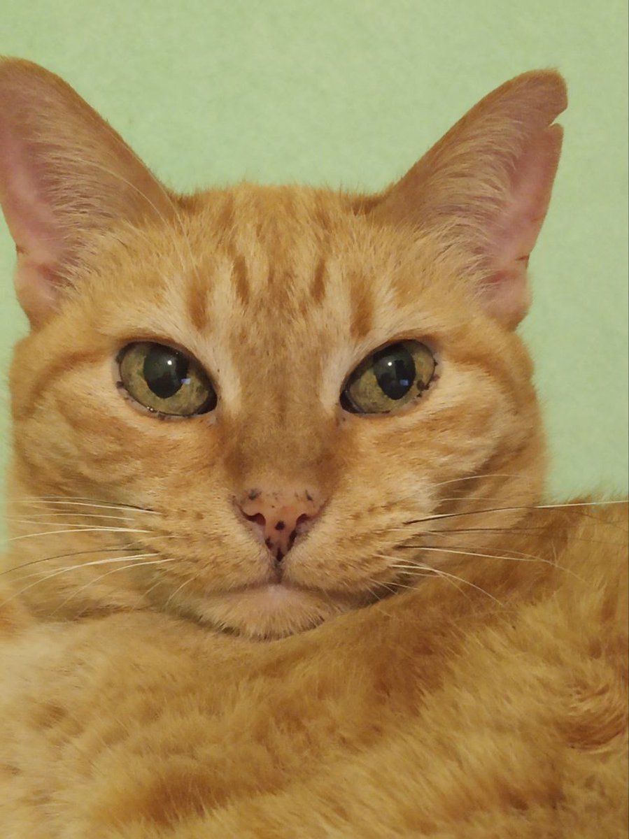 Дарья tweet media