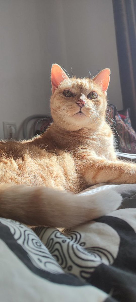 Дарья tweet media