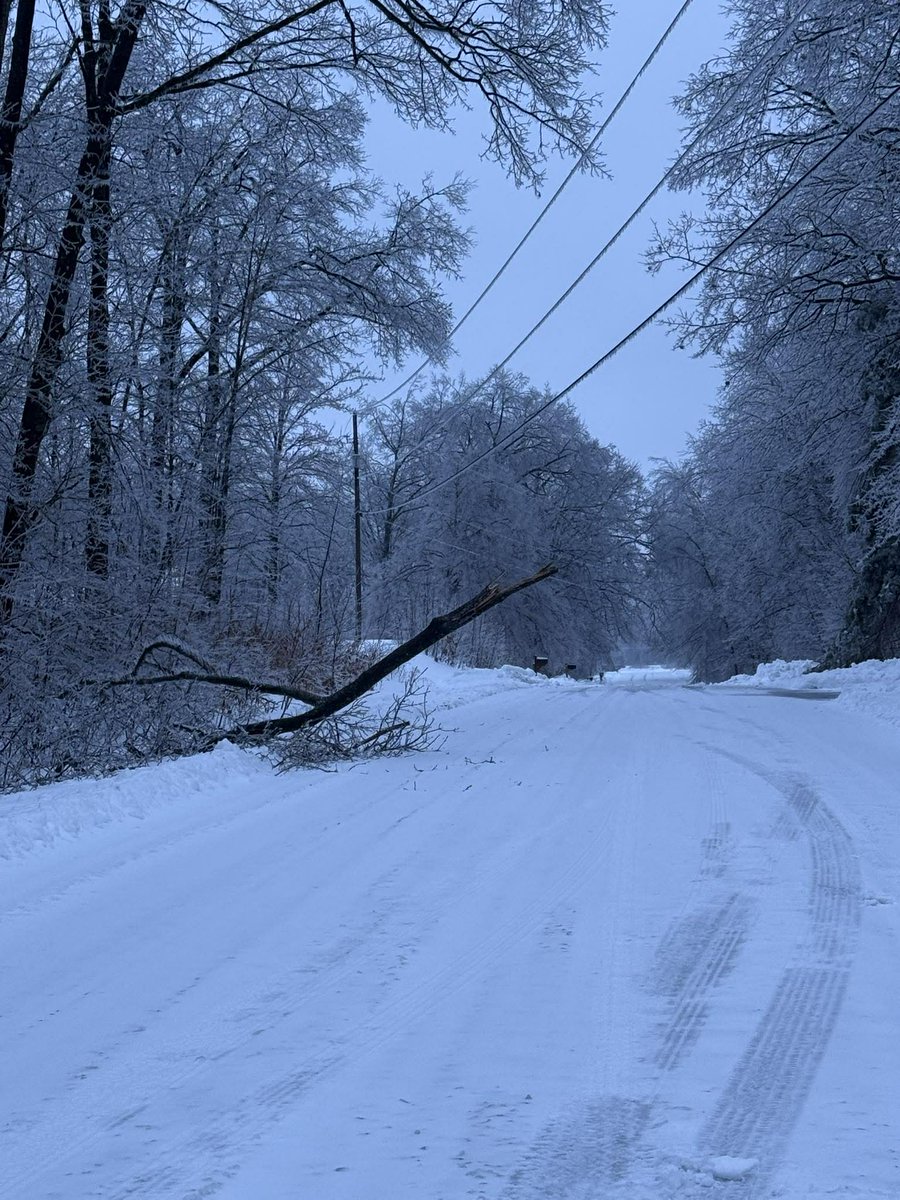 Consumers Energy tweet media