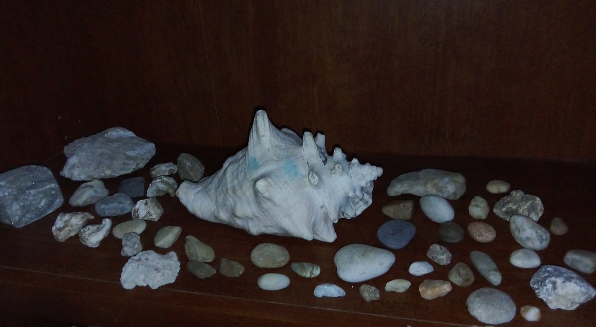 aly (-6.2/15kgs) tweet media